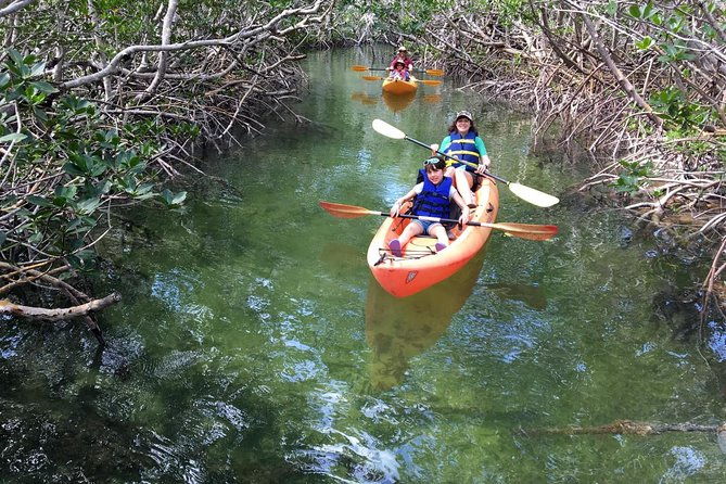 mangroves-and-manatees-guided-kayak-eco-tour