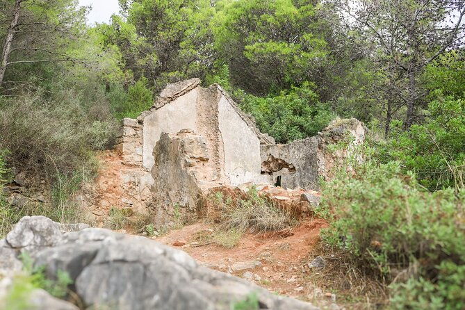 marbella-guided-hiking-and-foraging-adventure