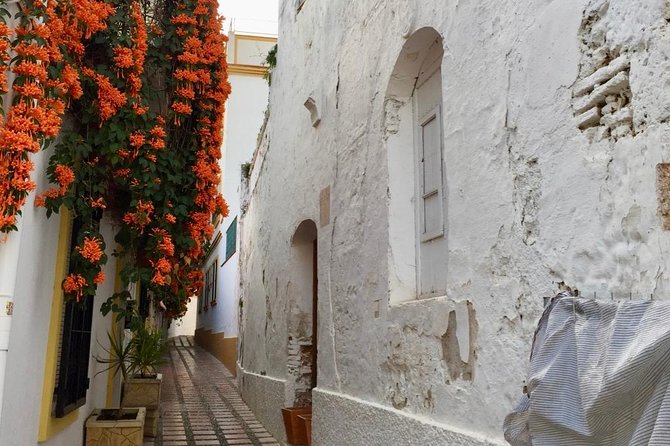 marbella-old-town-group-tour-with-a-true-local