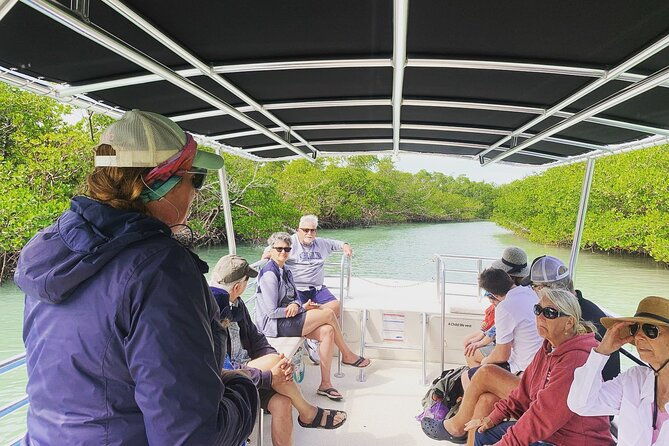 marco-island-dolphin-sightseeing-tour