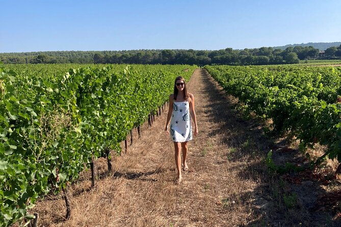 marseille-shore-excursion-full-day-wine-tour-in-provence