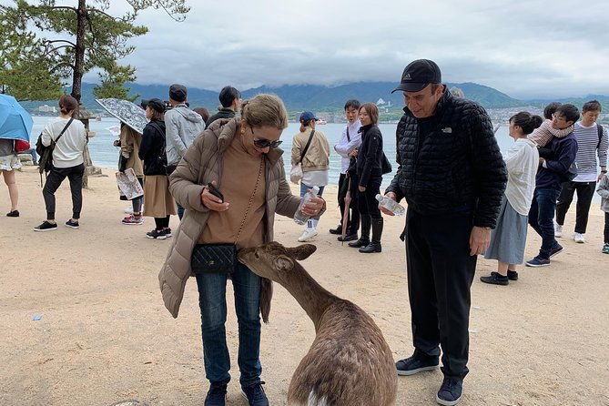 miyajima-half-day-private-tour-with-government-licensed-guide