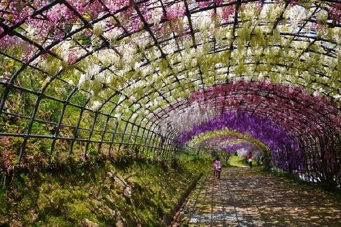 mojiko-retro-kawachi-wisteria-and-shiranoe-gardens-tour-yokabus