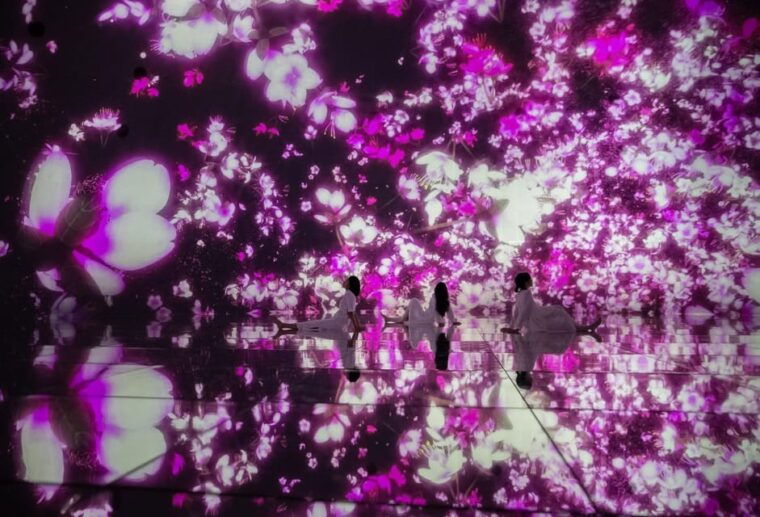 monzen-nakacho-walking-tour-with-sashimi-lunch-teamlab