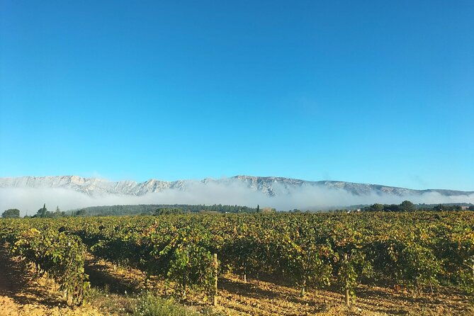 more-than-a-wine-tour-day-like-a-local-in-authentic-countryside