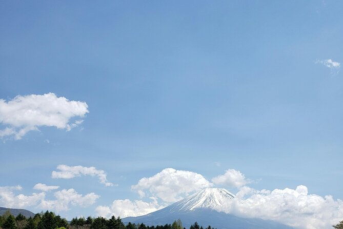mount-fuji-mt-fuji-private-tour-by-car-with-pickup-from-tokyo