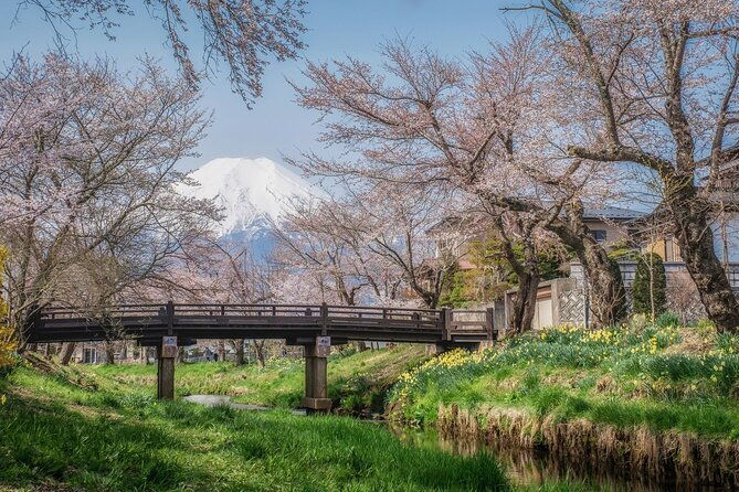 mt-fuji-5th-station-oshino-hakkai-and-hot-spring-day-trip