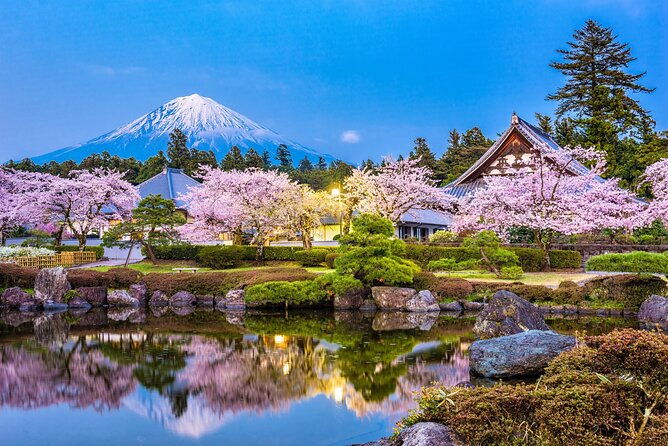 mt-fuji-and-gotemba-outlet-tour-from-tokyo