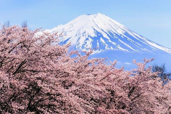 mt-fuji-and-lake-kawaguchi-day-trip-with-guide