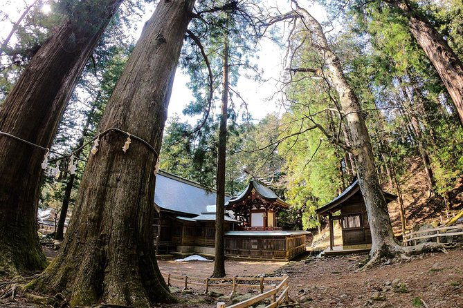 mt-fuji-area-private-guided-tours-in-english-nature-up-close-quiet-personal