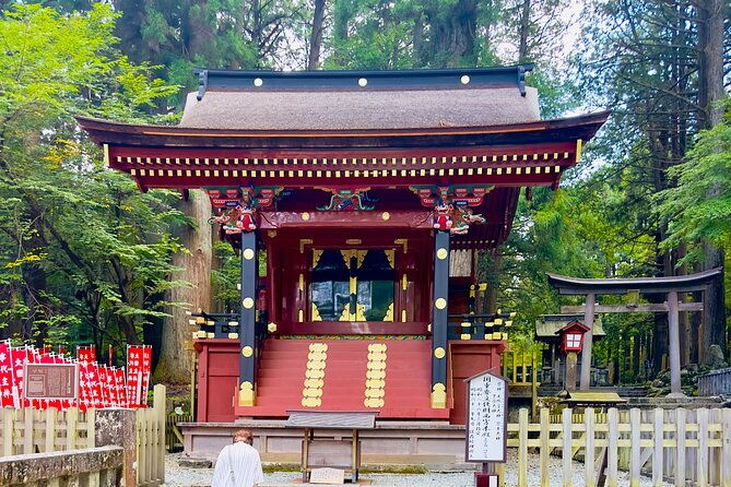 mt-fuji-cherry-blossom-day-tour-with-english-speaking-driver