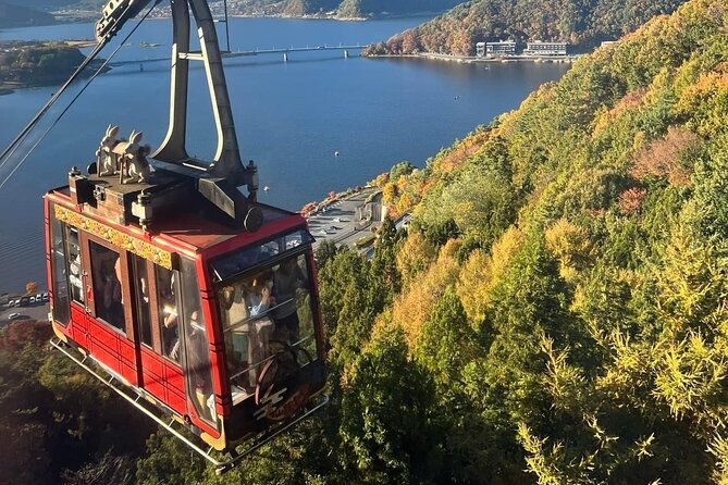 mt-fuji-cherry-blossom-one-day-private-tour-with-pickup