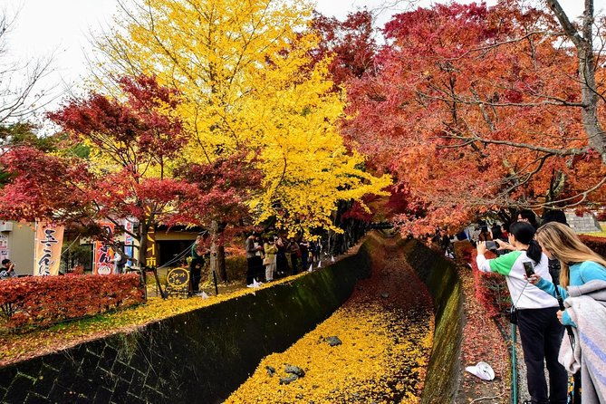 mt-fuji-day-trip-from-tokyo-by-car-with-photographer-guide