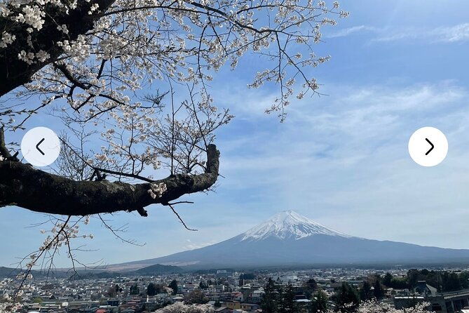 mt-fuji-hakone-full-day-private-tour-with-english-driver-guide