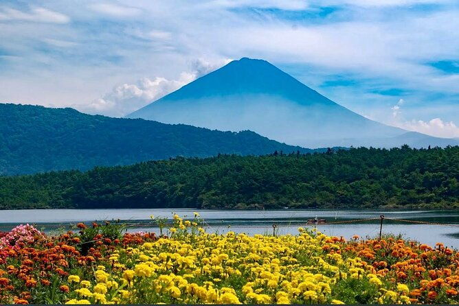 mt-fuji-hakone-private-day-tour-w-english-speaking-guide