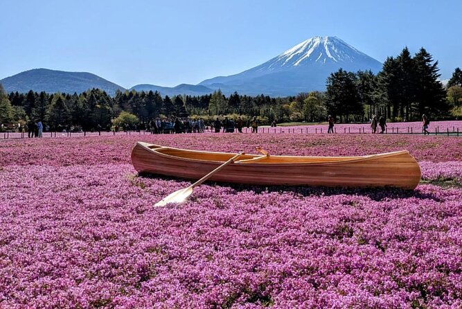 mt-fuji-hakone-private-tour-by-car-with-pickup
