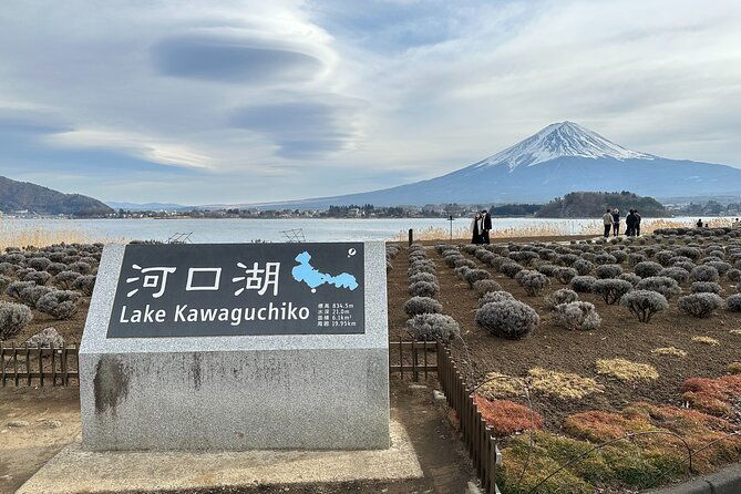 mt-fuji-oishi-park-arakurayama-sengen-park-bus-tour-from-tokyo