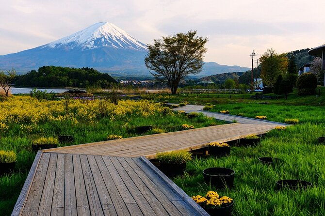 mt-fuji-private-sightseeing-day-tour-from-tokyo