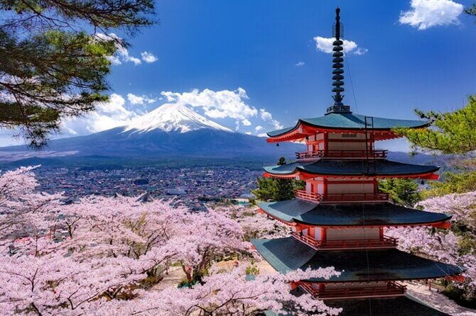 mt-fuji-private-tour-from-tokyo-with-english-guide
