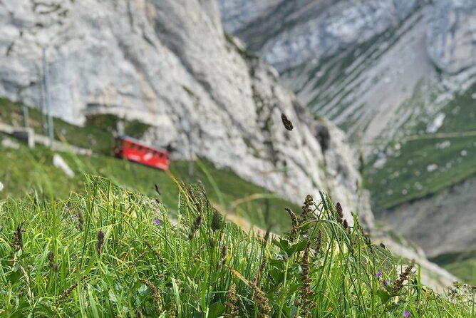 mt-pilatus-with-lake-of-lucerne-cruise-private-tour-from-lucerne