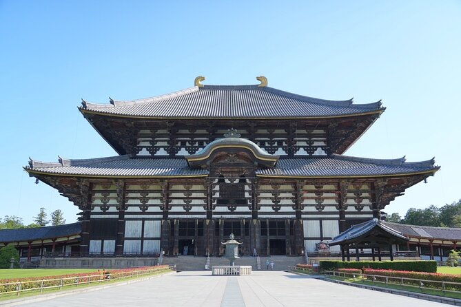 nara-early-bird-tour-kyoto-departure-option-available-2