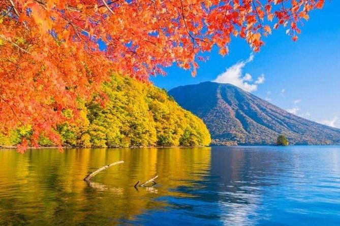 nikko-private-tour-from-tokyo-with-licensed-guide-and-vehicle