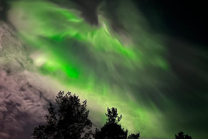 northern-light-hunt-with-minibus-to-abisko-730-pm
