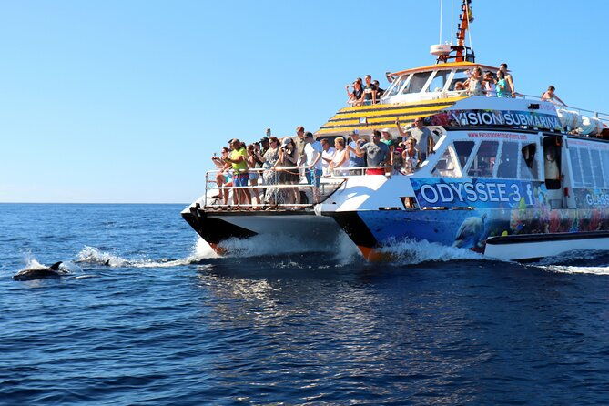 odyssee-3-the-glass-bottom-boat-tour-in-fuerteventura