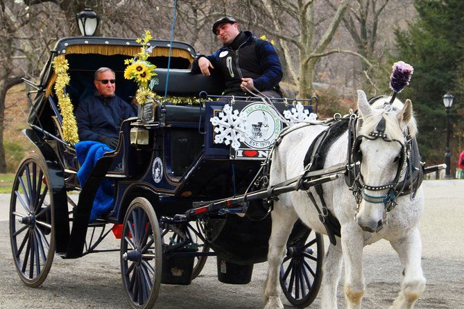 official-nyc-horse-carriage-rides-in-central-park-since-1979