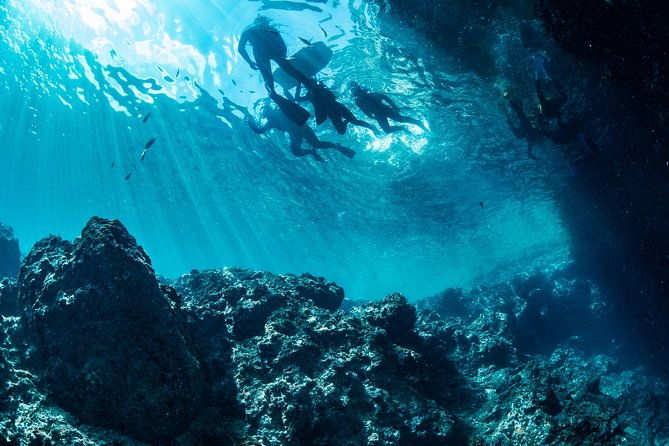okinawa-blue-cave-snorkeling-and-easy-boat-holding-private-system-very-satisfied-with-the-beautiful-facilities-of-the-shop-with-photo-and-video-shooting-service