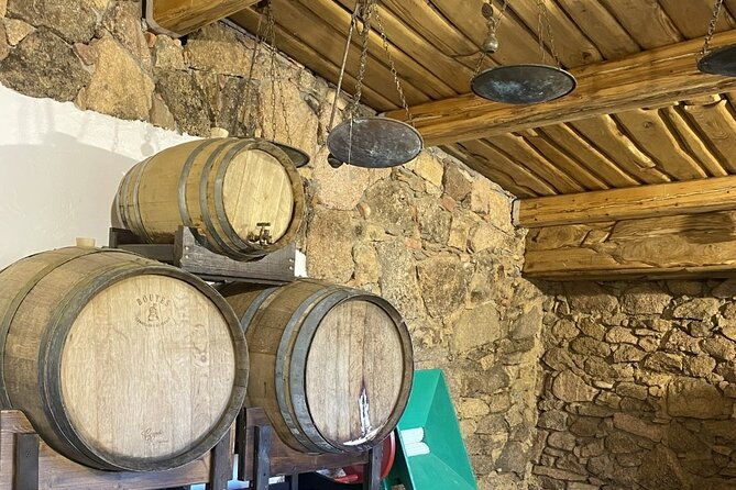 olbia-pasta-class-food-experience-within-old-tipycal-village