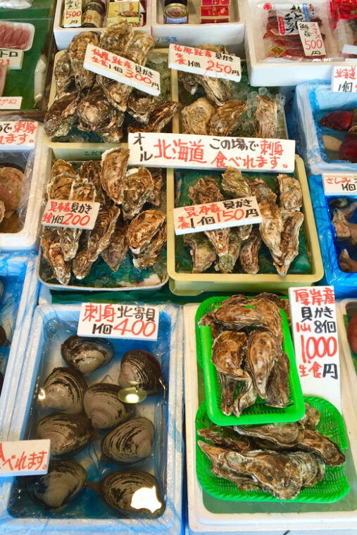 one-day-private-sapporo-highlights-tour