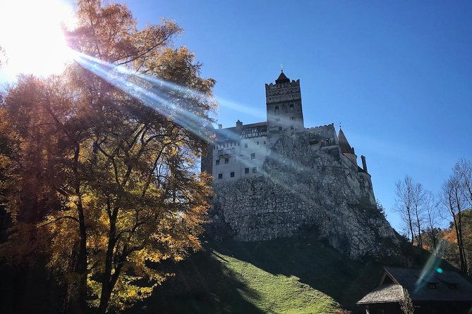 one-day-trip-bear-sanctuary-dracula-castle-rasnov-fortress-from-brasov
