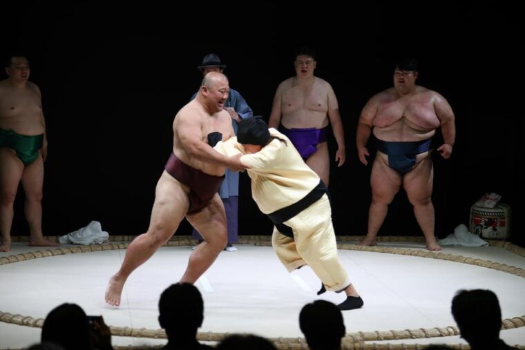 osaka-sumo-stage-show-with-bento-fight-photo-shooting