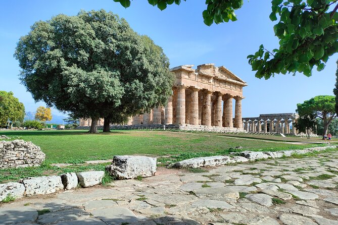 paestum-traditions-buffaloes-ceramics-temples