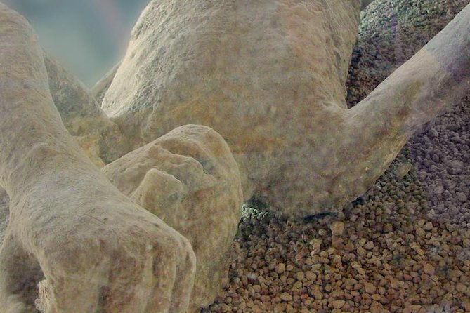 pompeii-private-morning-tour-from-sorrento