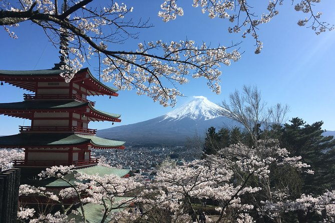private-car-mt-fuji-and-gotemba-outlet-in-one-day-from-tokyo