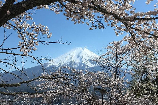 private-car-tour-to-mt-fuji-lake-kawaguchiko