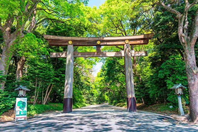 private-custom-tokyo-tour-with-a-tokyo-resident-pro-guide-by-car