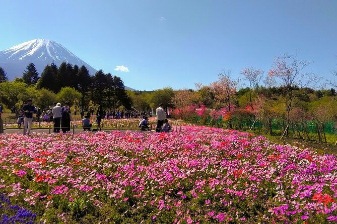 private-mount-fuji-day-trip-from-tokyo-by-car