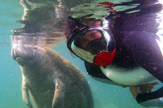 private-og-manatee-snorkel-tour-with-guide-for-up-to-10-people
