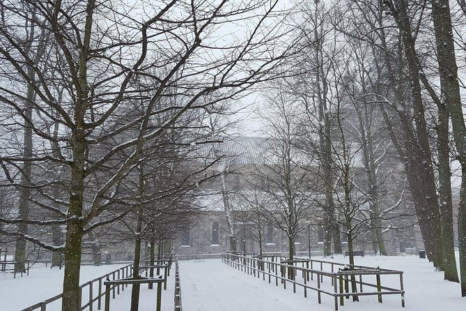 private-tour-copenhagen-to-lund-malmo-city-daytrip