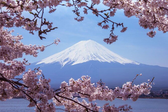 private-tour-of-mount-fuji-with-kawaguchi-lake-and-oshino-hakkai