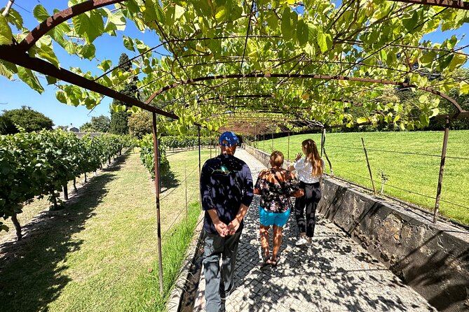 private-tour-to-fatima-nazare-and-obidos