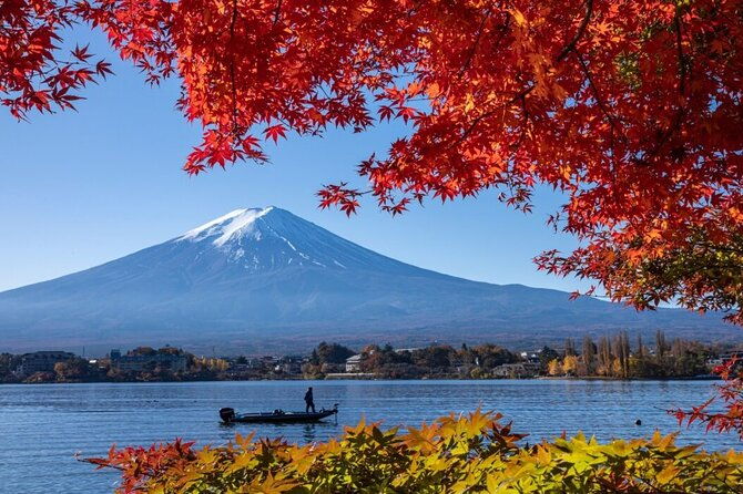 private-tour-to-mount-fuji-with-an-english-driver-from-tokyo