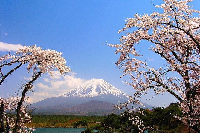 private-transport-mt-fuji-and-hakone-1-day-trip