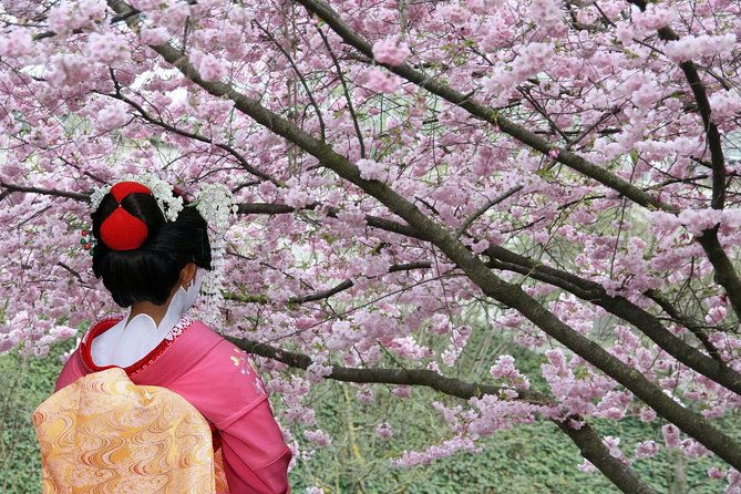 private-unique-tokyo-cherry-blossom-sakura-experience