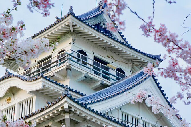 private-walking-tour-in-downtown-and-biwalake-cruising