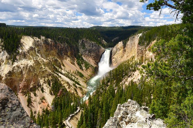 private-yellowstone-tour-iconic-sites-wildlife-family-friendly-hikes-lunch
