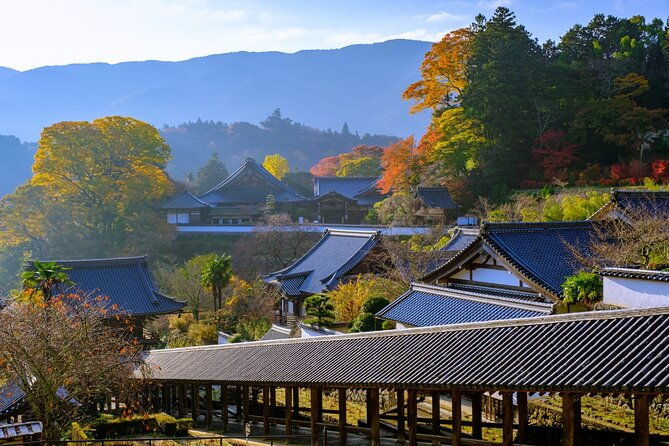 relaxed-nara-tour-from-kyoto-hasedera-and-muroji-temples